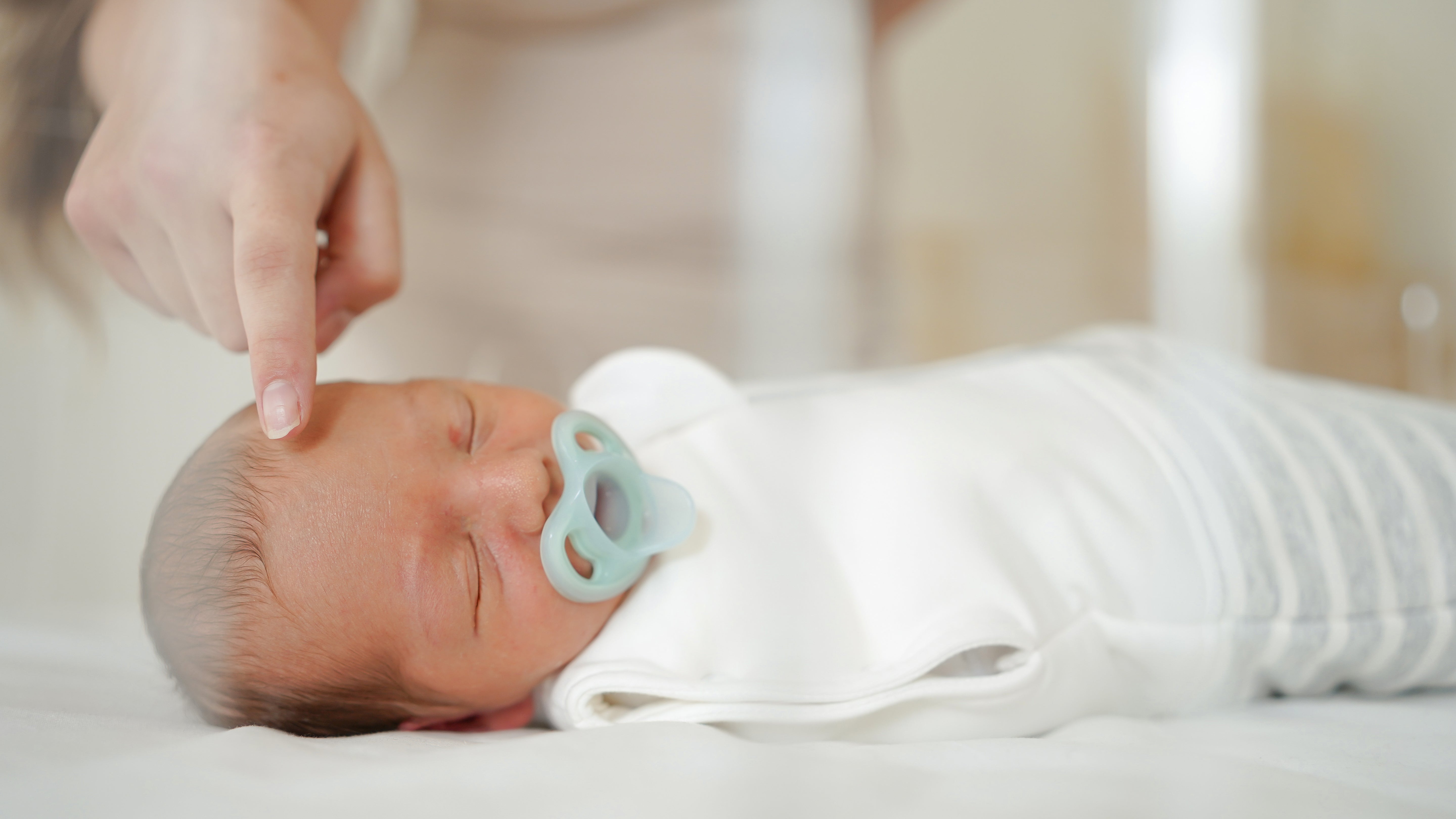 Sweet Dreamers Premium Sleeping Bag 2.5 TOG