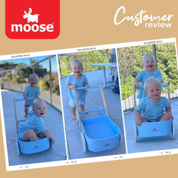Twins, Reuben & Oliver test drive our Moose Baby Walker