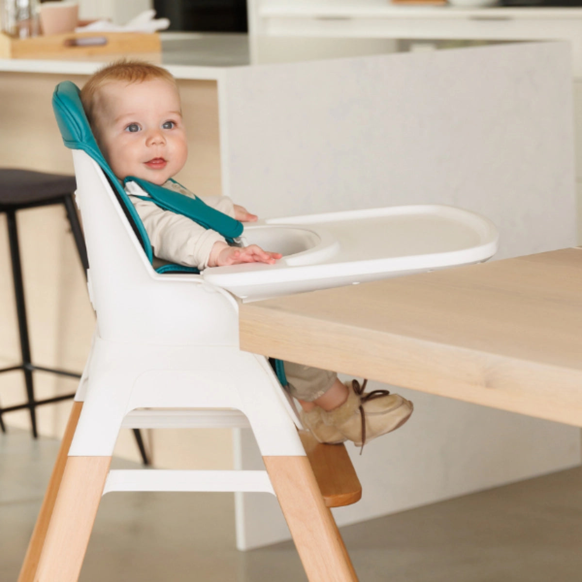 Moose TED Highchair & Stool