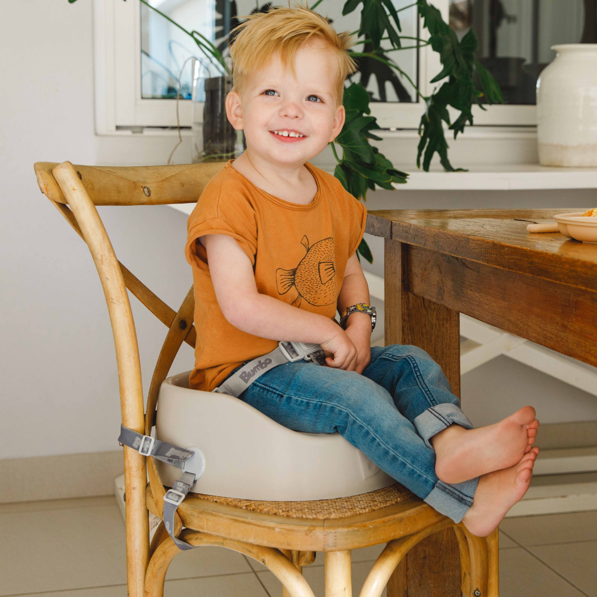 booster for kids with safety harness