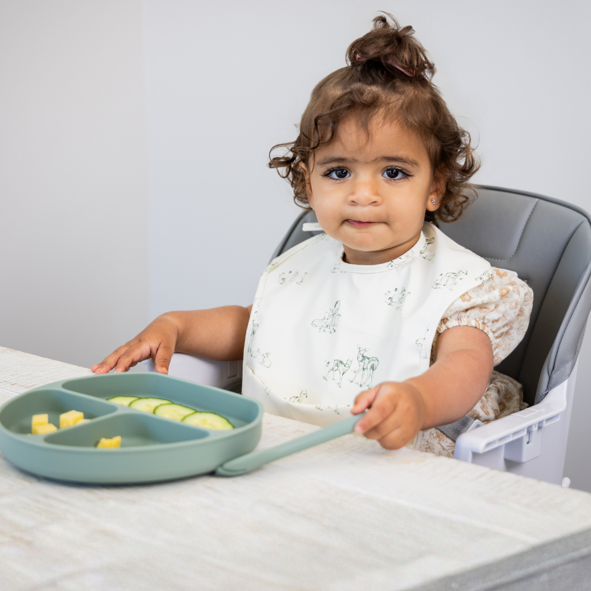 Moose Frankie Foldable HighChair (Grey)