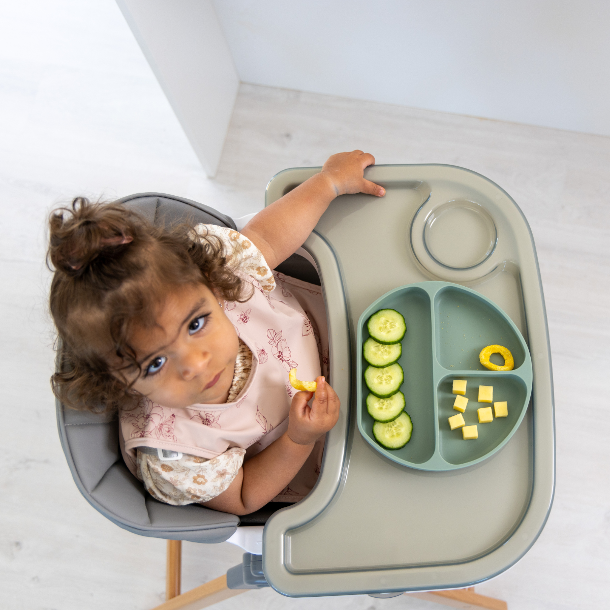 Moose Frankie Foldable HighChair (Grey)