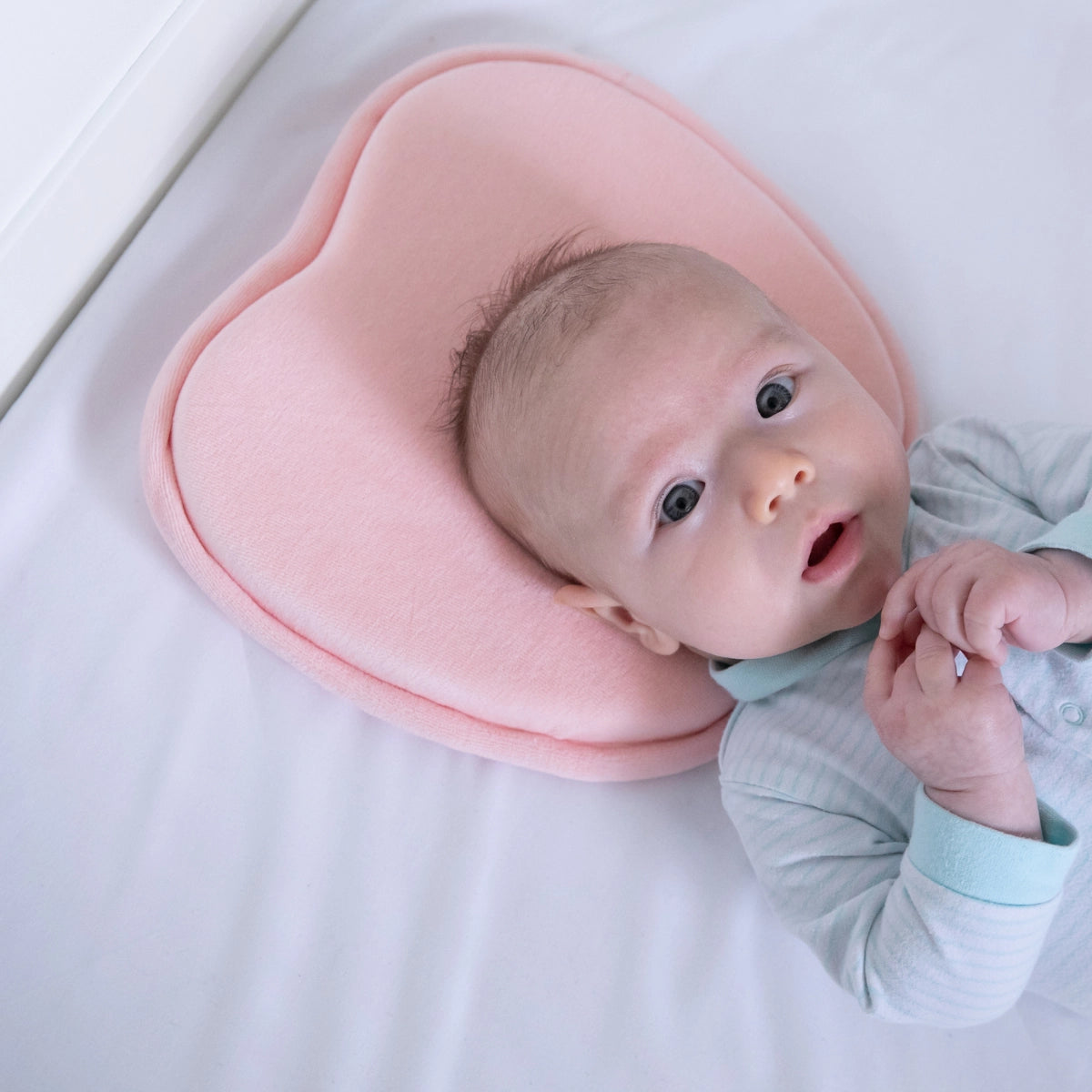 Moose Baby-Head-Shape Support