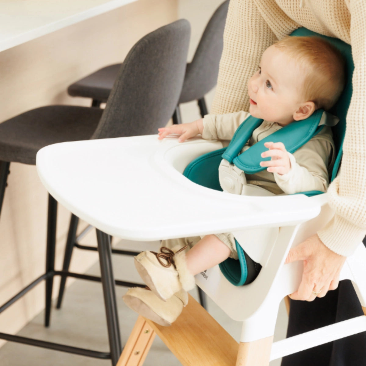 Moose TED Highchair & Stool