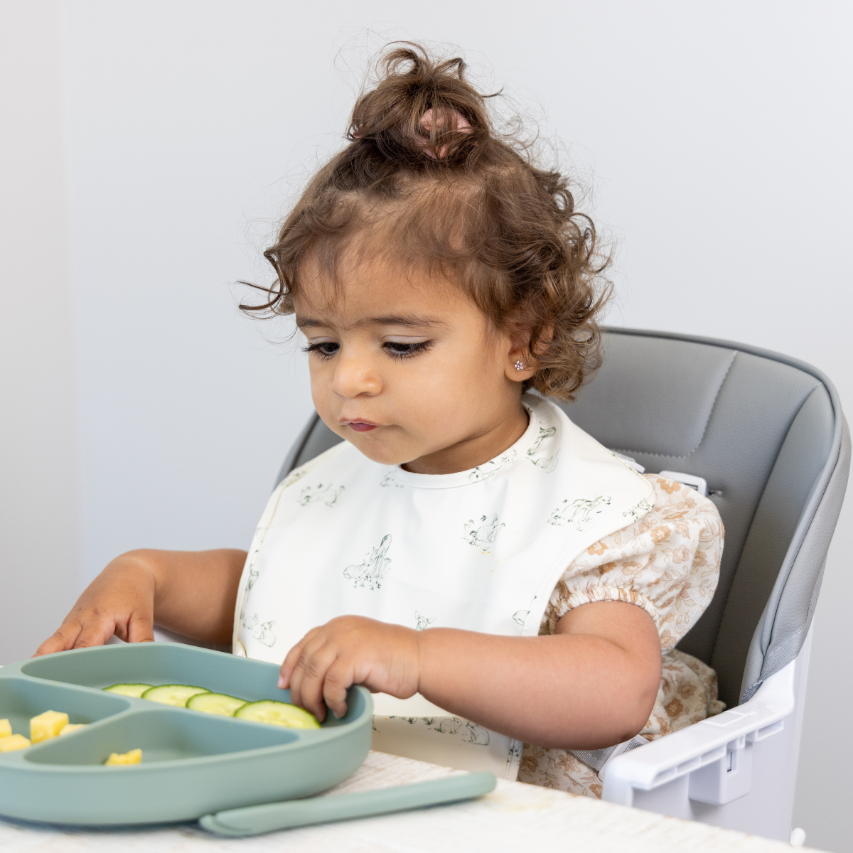 Moose Frankie Foldable HighChair (Grey)