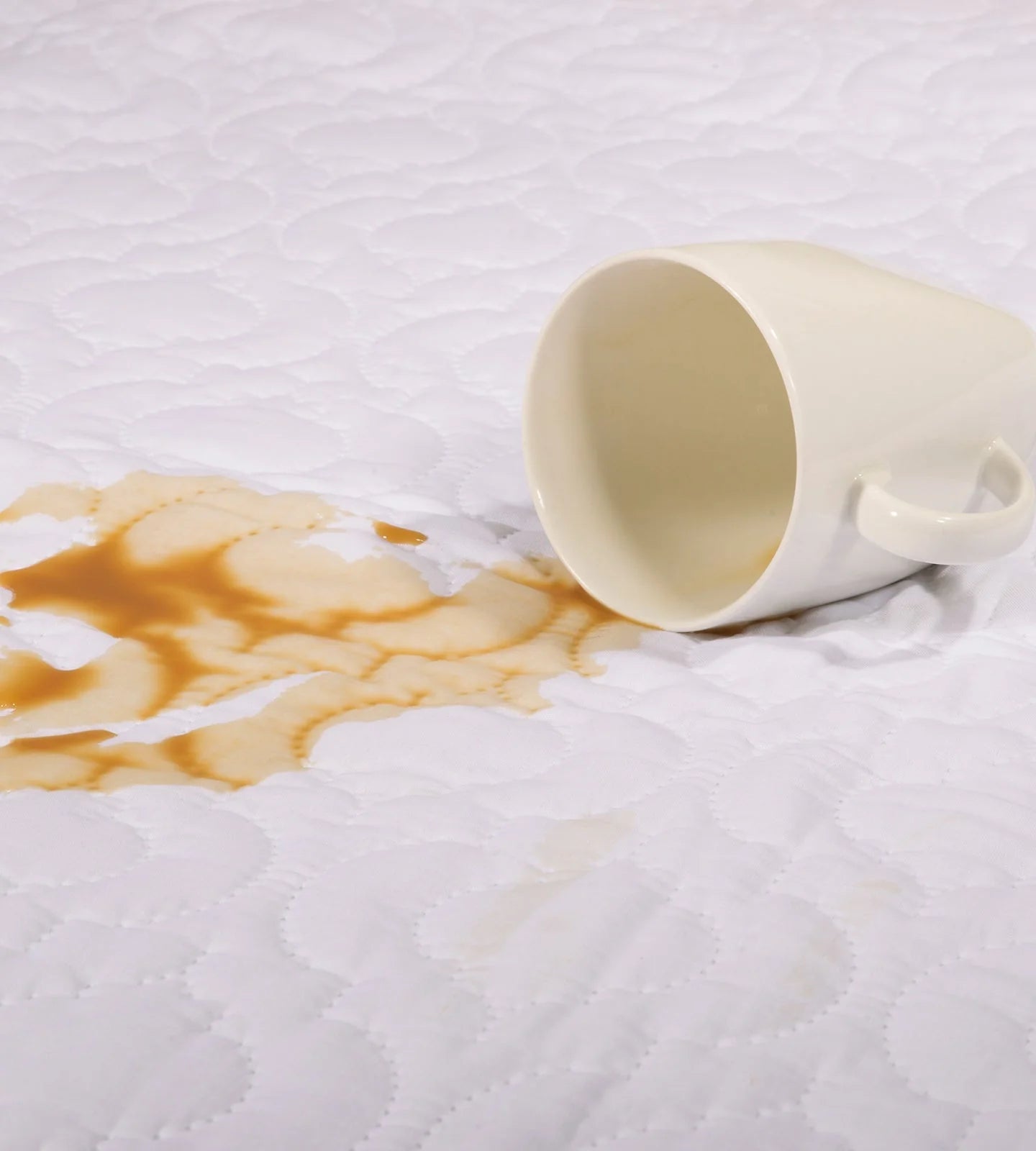 Brolly Sheets Waterproof Quilted Mattress Protector