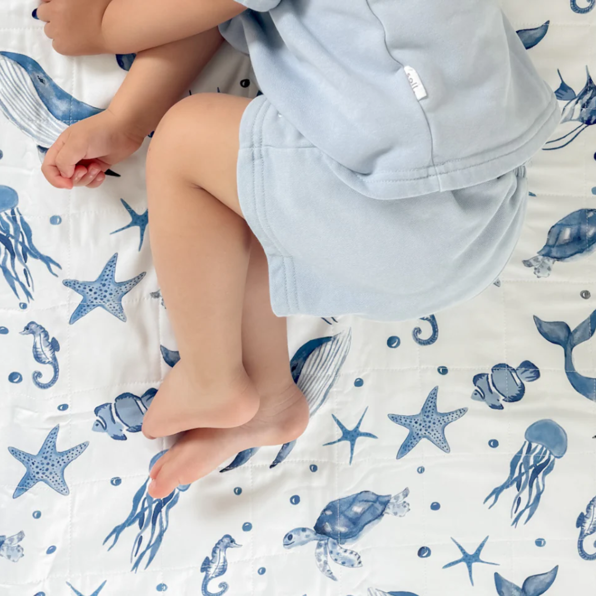 Brolly Sheets with wings