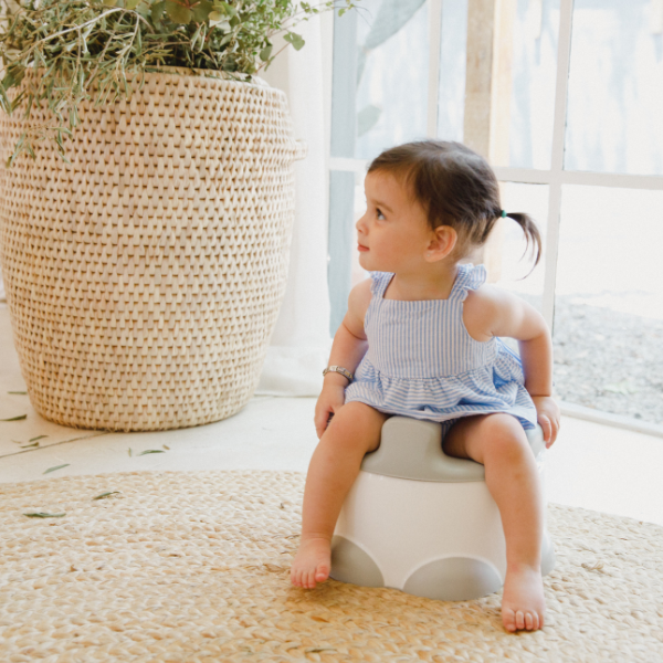 Bumbo 3 in 1 Step n' Potty