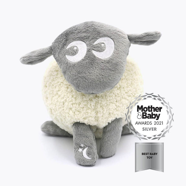 Ewan the Dream Sheep