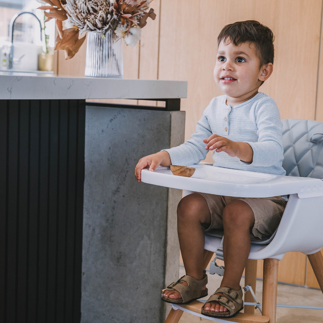 The MOOSE Sinclair Highchair