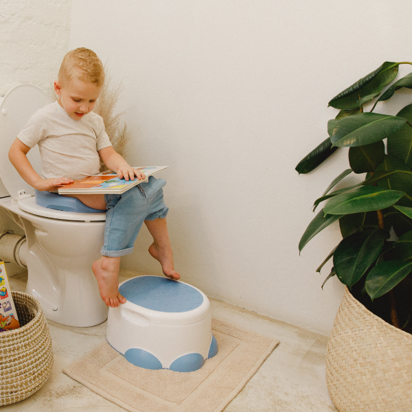 Bumbo 3 in 1 Step n' Potty